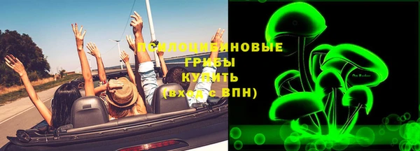 синтетический гашиш Богородицк