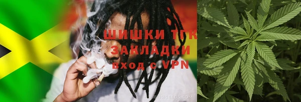 дурь Богданович