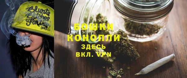 дмт Белокуриха