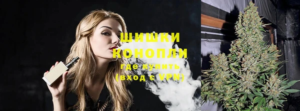 гашик Бородино